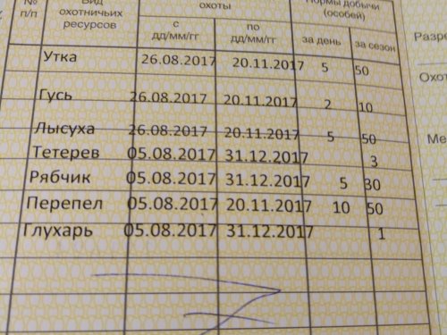Ура!!! Путёвка на руках.