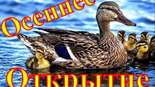 Осеннее открытие