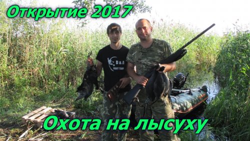 Открытие 2017.Охота на лысуху. Удачное открытие сезона