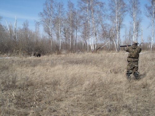 спасибо медведю!!!