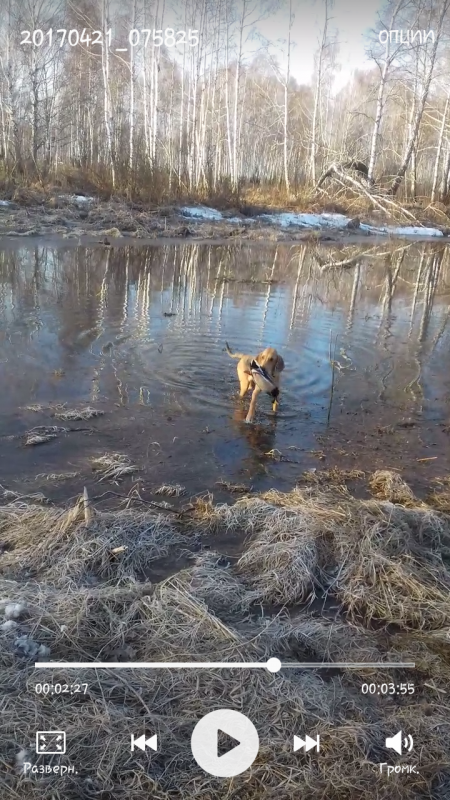 Помощник))