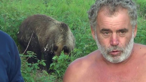 Медведь в поисках пищи напугал десятки туристов
