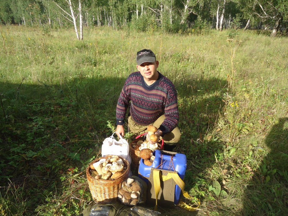 Грибы.