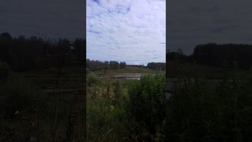 Утки. Проверка озера перед открытием.