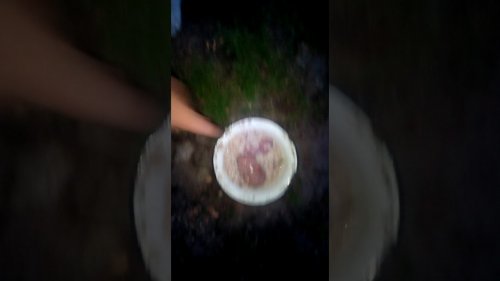 Воспитание лайки