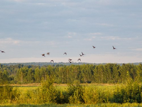 Перед вечёркой.