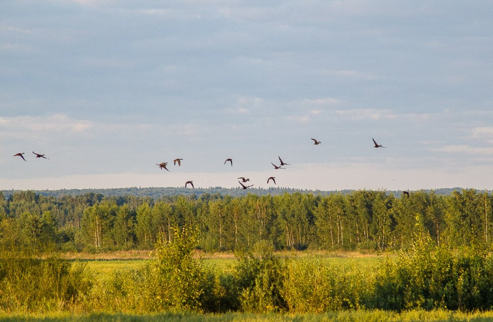 Перед вечёркой.