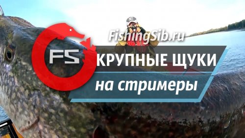 Щуки-монстры на Оби... Трофейная рыбалка на стримеры
