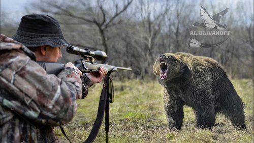 Охота на медведя. Лучшая подборка выстрелов.