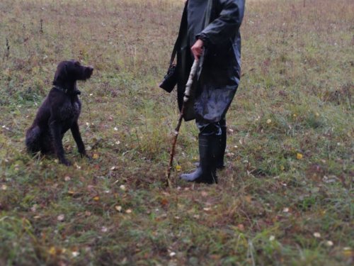 Инструктаж перед охотой)