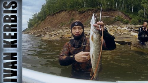Ждал сазана, а взял щуку. Подводная охота на Красноярском водохранилище 2017.