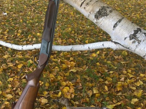 Добыли немного с подхода.