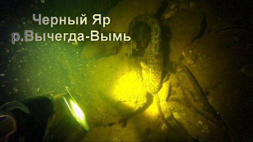 Другой мир, Черный Яр. Река Вычегда подводная охота.