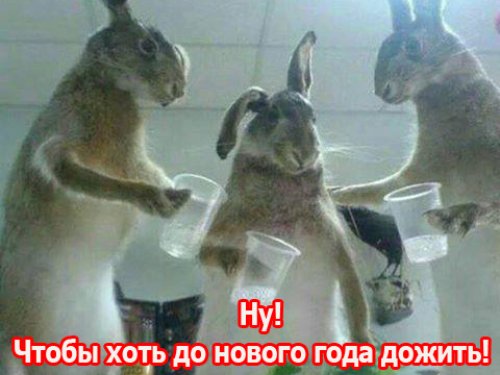 Перед открытием сезона