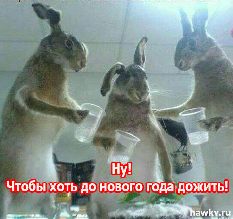 Перед открытием сезона