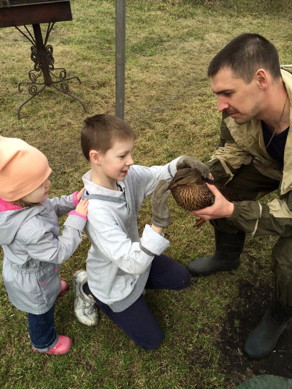 Подсадная