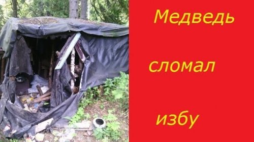 Хана избе. Медведь сломал избу.