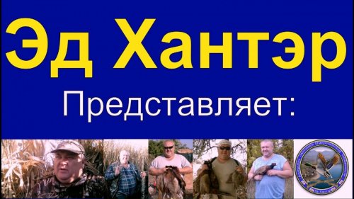 Охота на перепёлку голубя утку фазана гуся куропатку зайца с легавыми собаками и так далеее