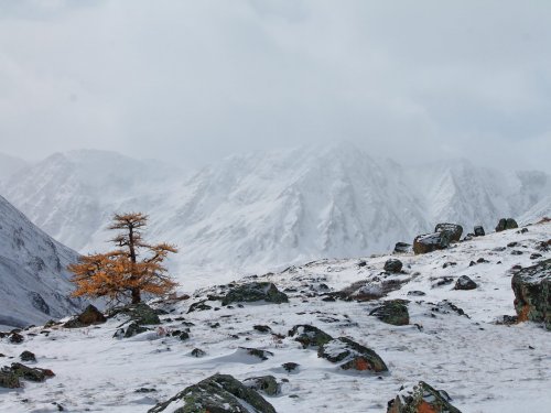 Там, за облаками