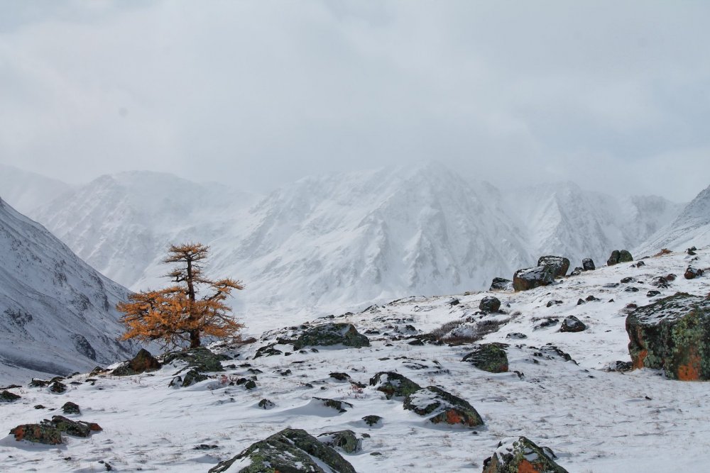 Там, за облаками