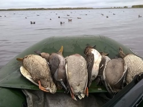 Ждал северную и не дождался!  :)))