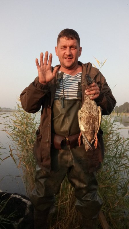 С полем!