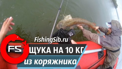 Щука-"бабуля" на 10 КГ из коряжника...