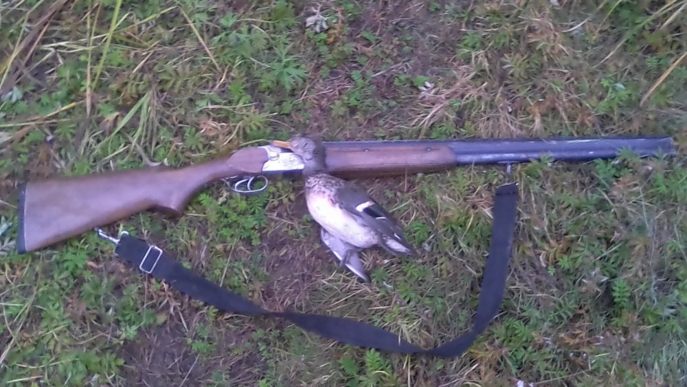 в воскресное утро!