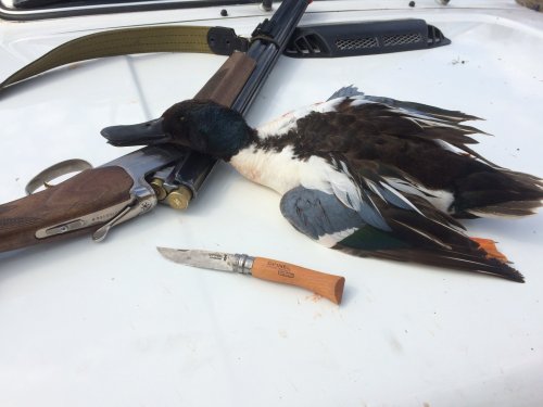 Трофей взят...