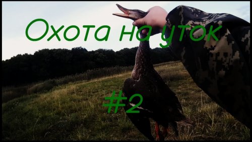 Охота на уток (Днепропетровская область)