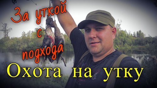Охота на утку осенью. Удачная охота с подхода. Работа русского спаниеля по утке