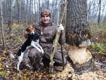Image description