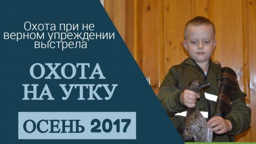 Охота на утку на вечерней "зорьке".