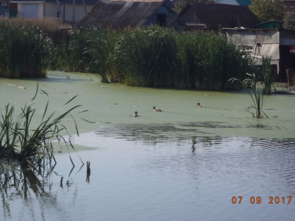 семейка