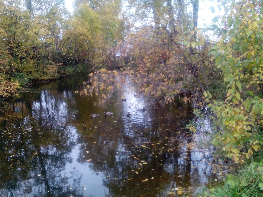 Дача Флагмана