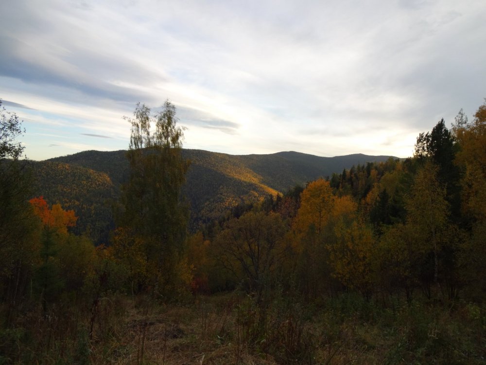 Осень.вечер.