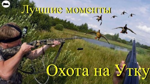 Охота на утку. Лучшие моменты