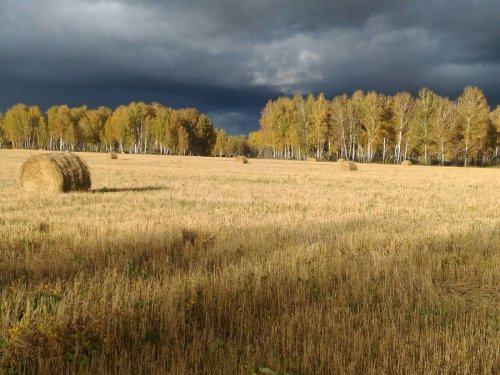 Сентябрь