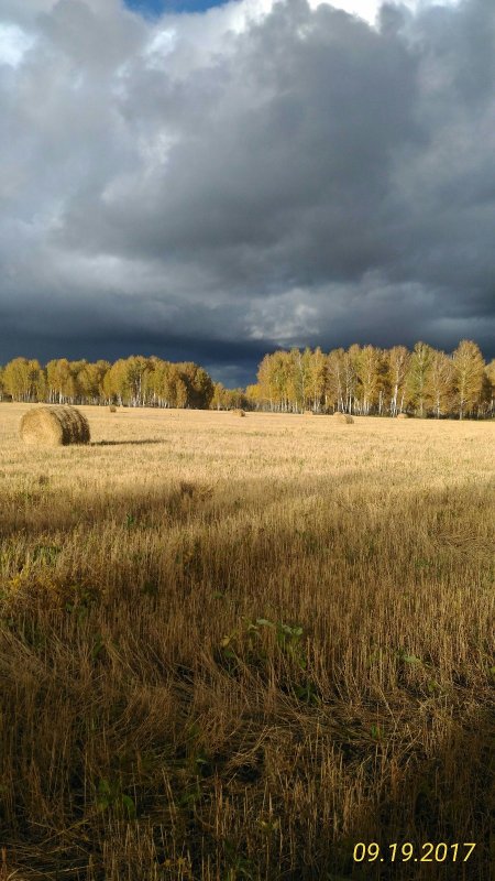 Сентябрь