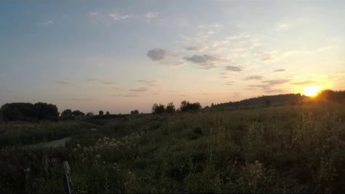 Охота на уток 2017