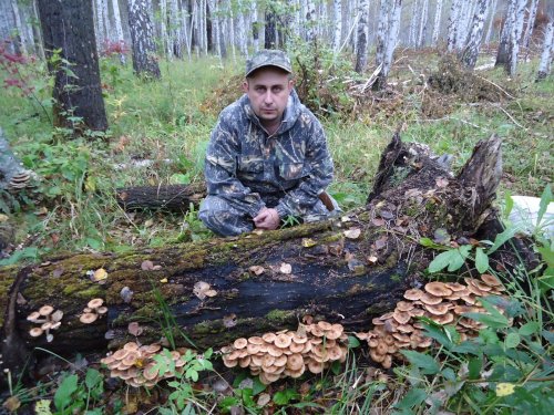 тихая охота