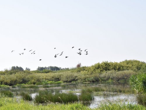 Полет.