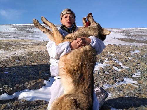 Вот такой малыш...
