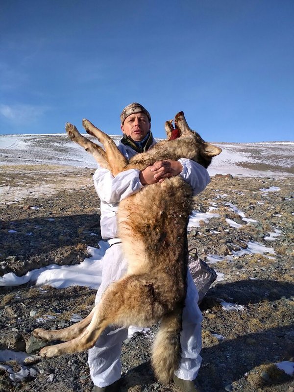 Вот такой малыш...