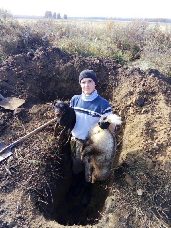 по быстрому!