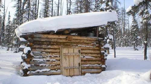 "Зов тайги"