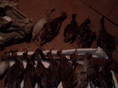 вечер второй