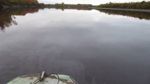 БЕСПРЕДЕЛ НА РЕКЕ ВАСЮГАН!