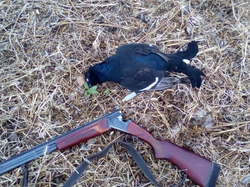 Прогулялся по осенним полям