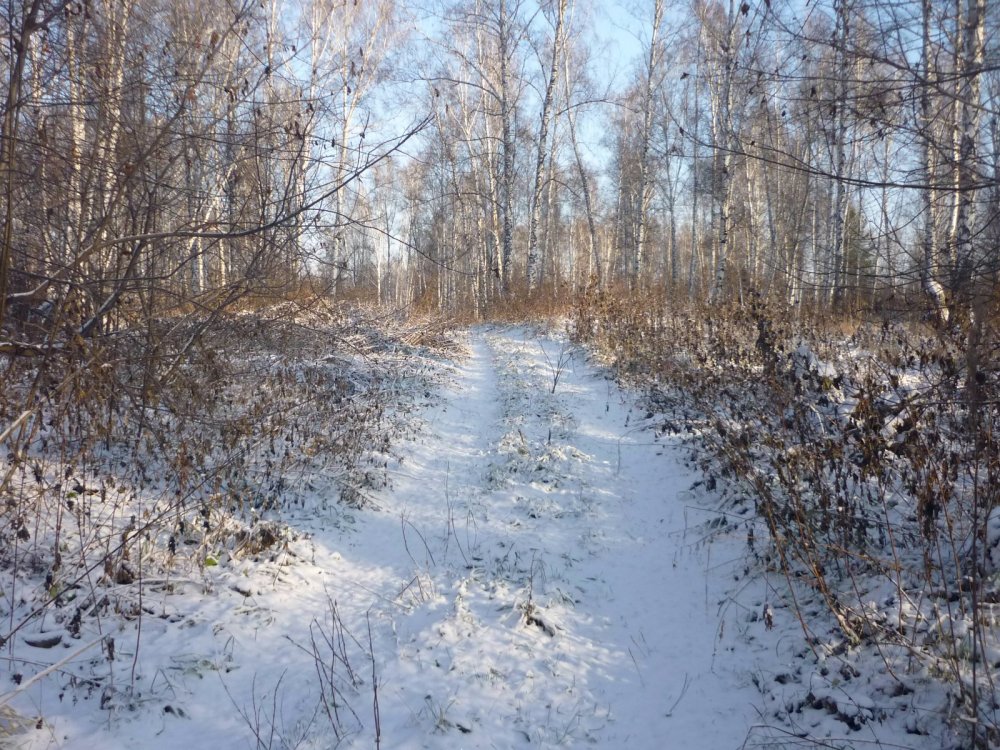 За косым, по перенове....